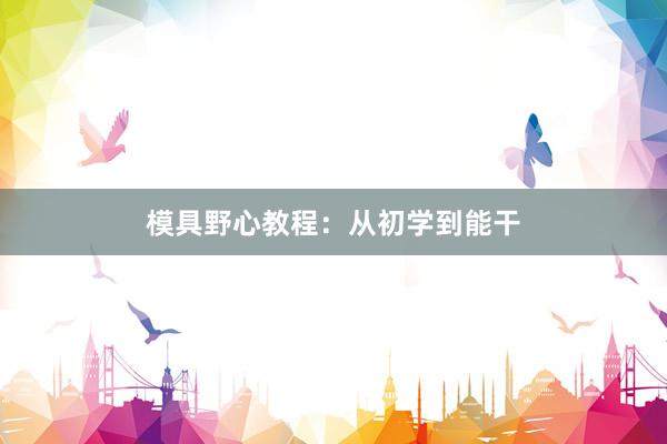 模具野心教程：从初学到能干